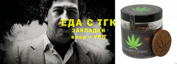 прущие грибы Горняк