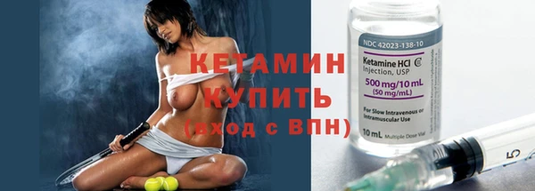 прущие грибы Горняк