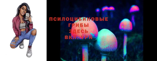 прущие грибы Горняк