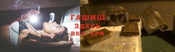 прущие грибы Горняк
