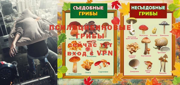 прущие грибы Горняк
