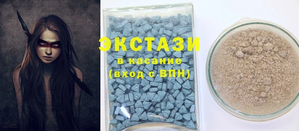 прущие грибы Горняк