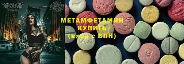 прущие грибы Горняк
