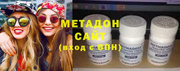 прущие грибы Горняк